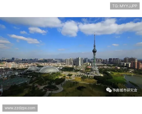 赫尔城俱乐部发展历程与城市足球文化深度解读